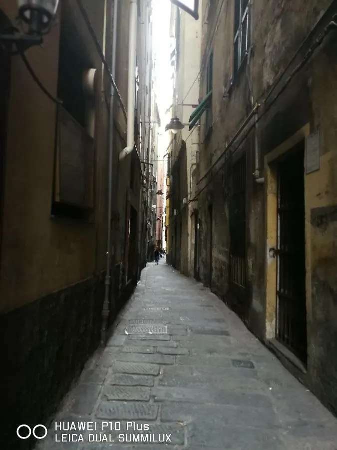 Inside My City Genoa